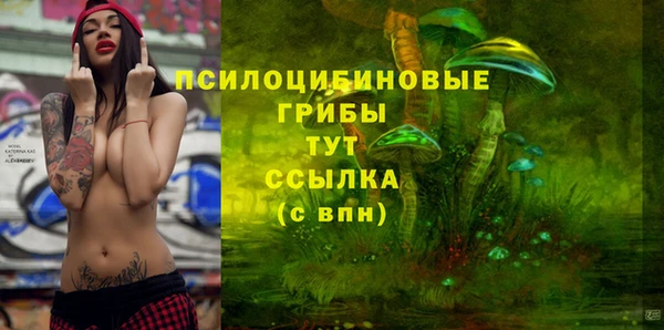a pvp Арсеньев