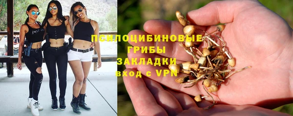 ALPHA PVP Аркадак