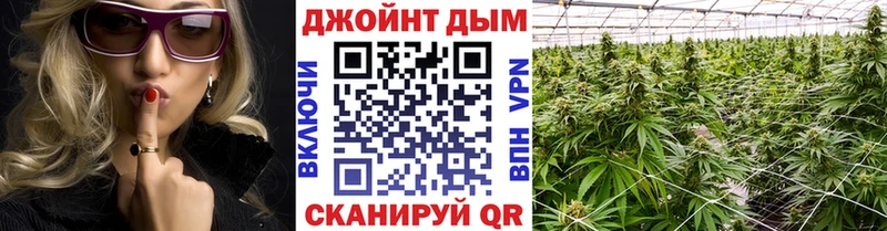 где купить наркотик  Бакал  Бошки марихуана сатива 